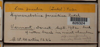 Image Associated With the Occurence
